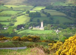 Widecombe-in the Moor Wallpaper