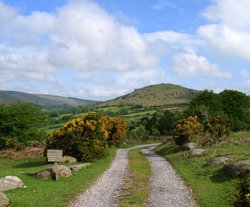 Widecombe-in the Moor Wallpaper