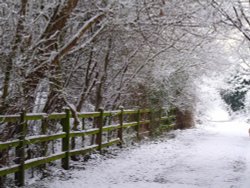 Winter wonderland in Watermead Country Park Wallpaper