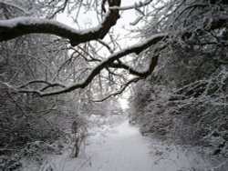 Winter wonderland in Watermead Country Park Wallpaper