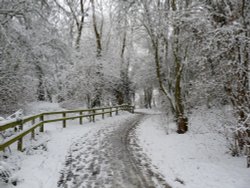 Winter wonderland in Watermead Country Park Wallpaper