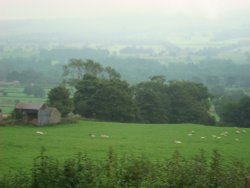 Grazing land at Wensleydale Wallpaper