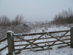 Irthlingborough Winter scene Wallpaper