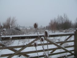 Irthlingborough Winter scene Wallpaper