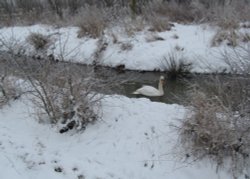 Irthlingborough Winter scene Wallpaper