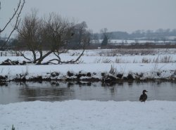 Denford Winter scene Wallpaper