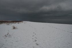 Cley next the Sea beach Wallpaper