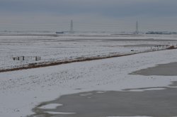 Ouse Washes, Welney Wallpaper