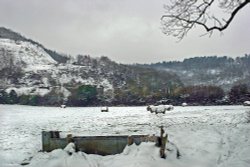 Stour Valley Winter, Shillingstone. Wallpaper