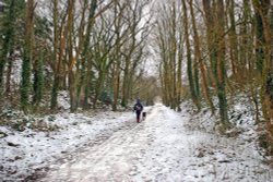 Stour Valley Winter, The North Dorset Trailway, Shillingstone. Wallpaper