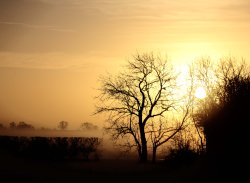 Near Bosworth Wallpaper