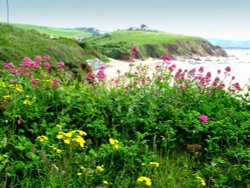 Burgh Island Wallpaper