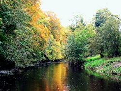 By the River Nidd, Knaresborough Wallpaper