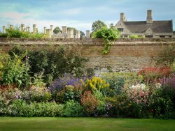 A wall in Cambridge Wallpaper