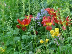 Flower Garden, Bronte Parsonage Museum, Haworth Wallpaper