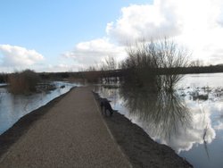 Irthlingborough floods Wallpaper