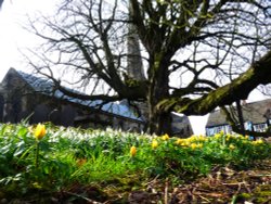 Saint Mary De Castro Church and Churchyard, Leicester Wallpaper