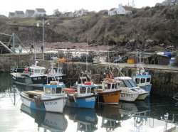 Crail Harbour