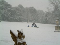 Polesden Lacey - family enjoying the snow. Wallpaper