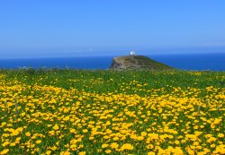 Boscastle Lookout Tower Wallpaper