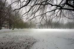 Abington Park East Wallpaper