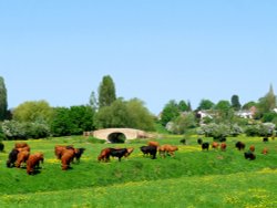 Tranquil scene from Rotherby Wallpaper