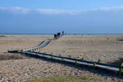 Beach path, Dungeness Wallpaper