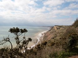 Branscombe Wallpaper