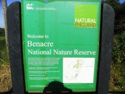 Benacre Nature Reserve Wallpaper