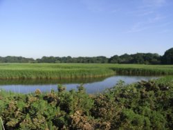 Benacre Nature Reserve Wallpaper