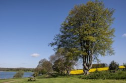 Sywell Country Park Summer 2012 Wallpaper