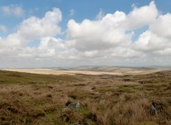 Dartmoor Wallpaper