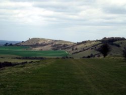 View to Ivinghoe Beacon from Pitstone Hill, Pitstone, Bucks Wallpaper