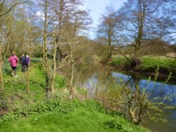 A walk by the river in Brockdish Wallpaper