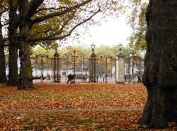 Green Park, London Wallpaper