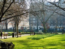 Tavistock Square, London Wallpaper