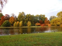 St James' Park Wallpaper