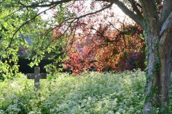 Brockhall churchyard Wallpaper