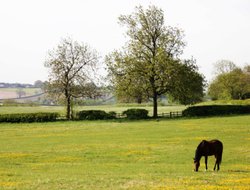 Market Bosworth countryside Wallpaper