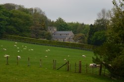 St Mary's Church, Tarrant Gunville Wallpaper