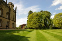 Arbury Hall gardens Wallpaper