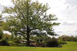 Arbury Hall gardens Wallpaper