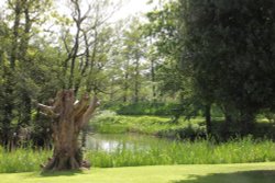 Arbury Hall Wallpaper