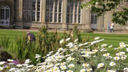 Arbury Hall Wallpaper