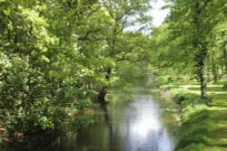 Arbury Hall gardens Wallpaper