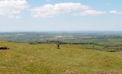 Dartmoor