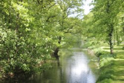 Arbury Hall gardens Wallpaper