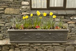 Window box Ambleside Wallpaper