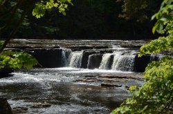 Aysgarth Falls Wallpaper