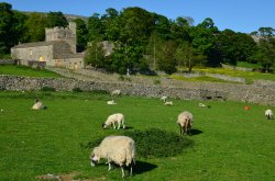 Nappa Hall near Worton, Wensleydale